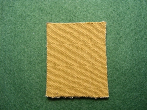 Colour: Fawn